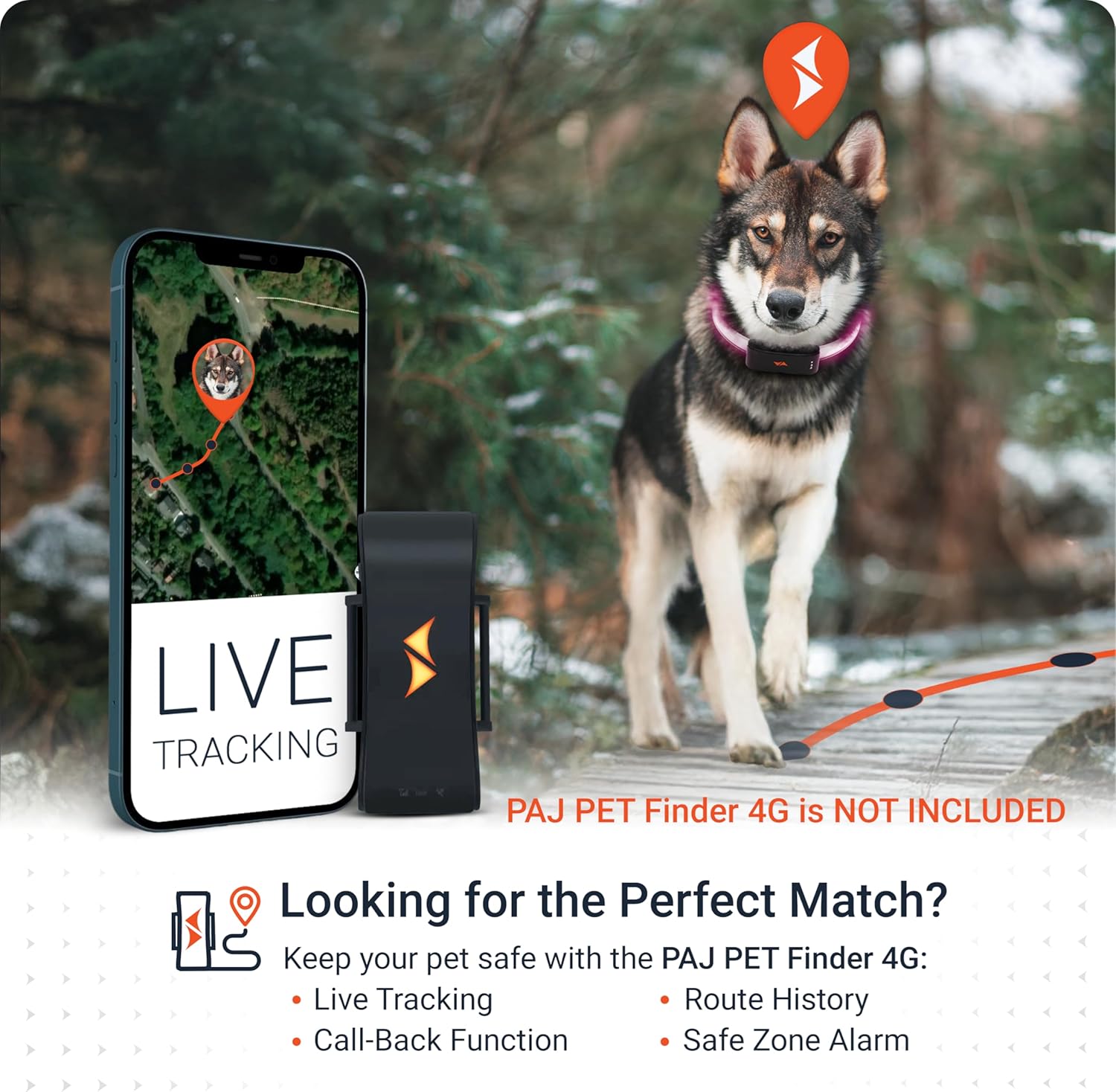 PAJ GPS – PAJ Light – Glowing LED Collar for Dogs