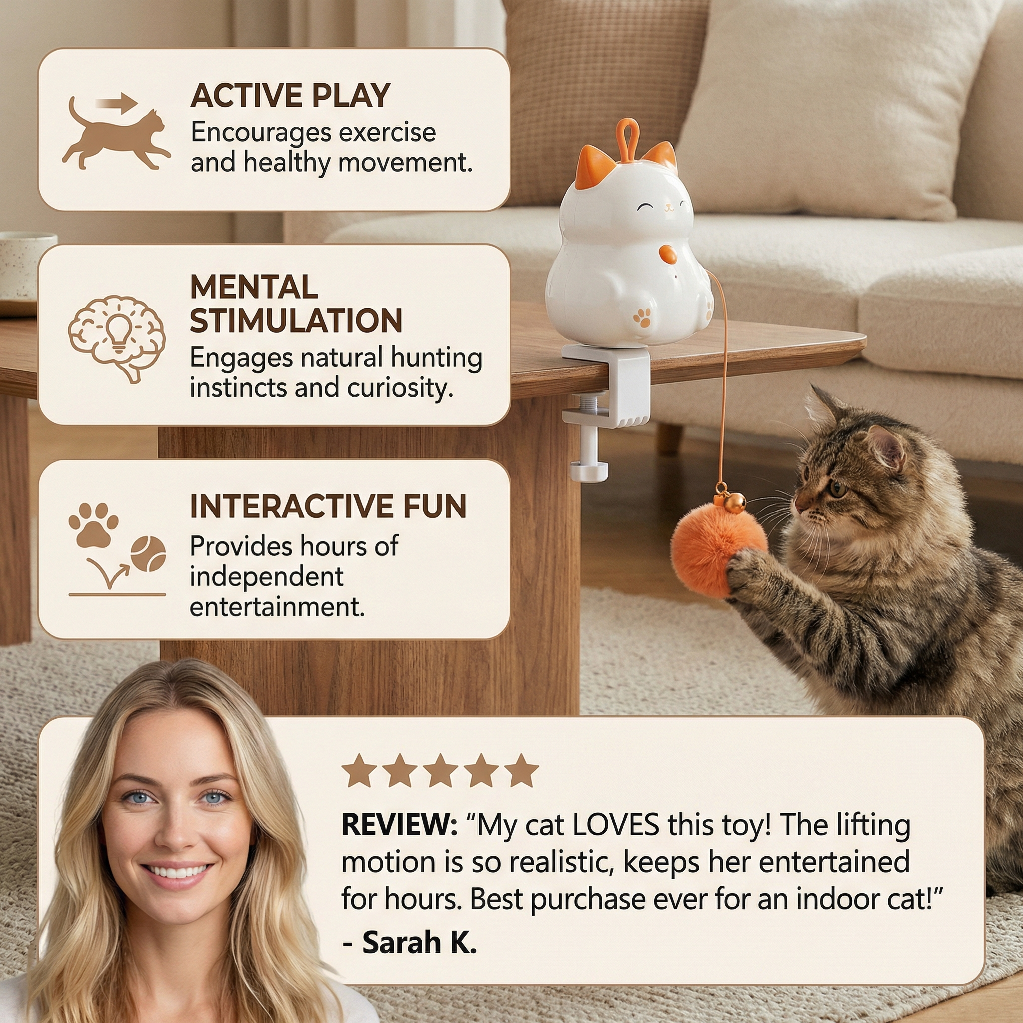 Automatic Cat Play Ball with Lifting Motion